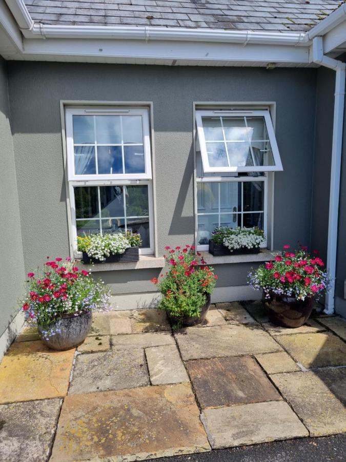 Highfield House Bed And Breakfast Collinstown Collinstown  Exterior photo